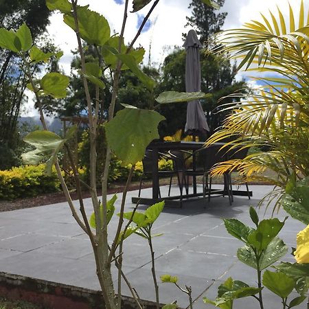 Meuble De Tourisme "Au Bord De La Mare" Villa Salazie Eksteriør billede