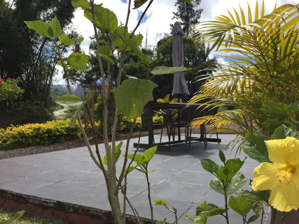 Meuble De Tourisme "Au Bord De La Mare" Villa Salazie Eksteriør billede